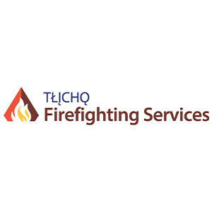 TFS Logo