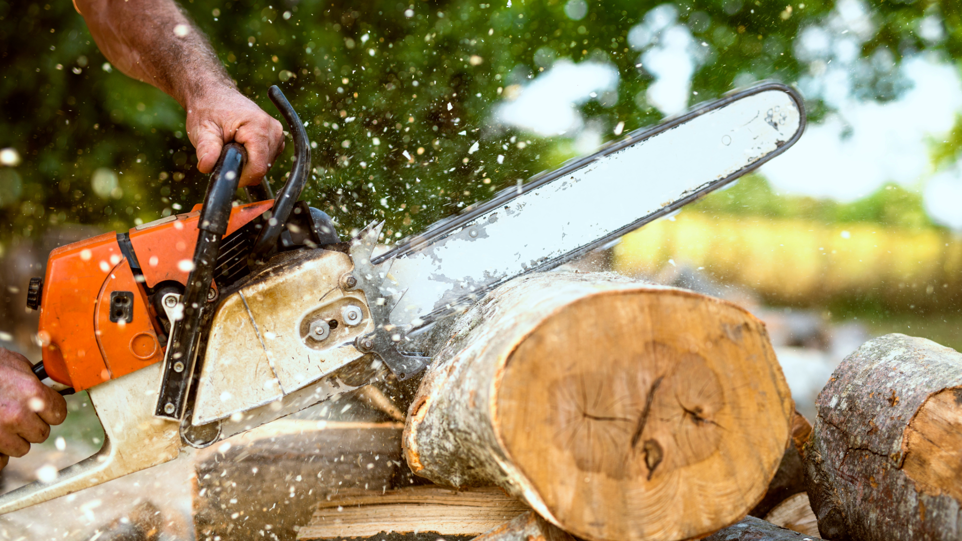 Stock photo of chainsaw usage