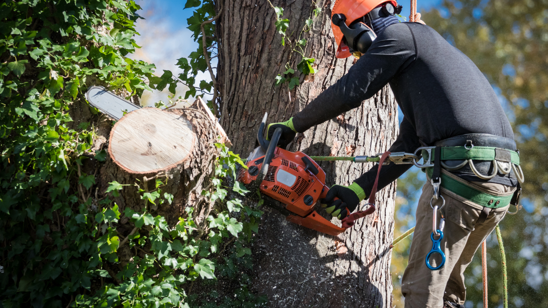 Stock photo of chainsaw